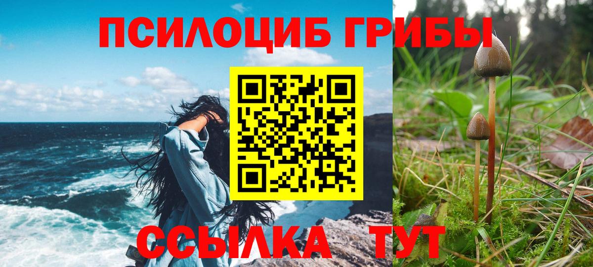 Галлюциногенные грибы Psilocybine cubensis  Вход с VPN  Урус-Мартан 