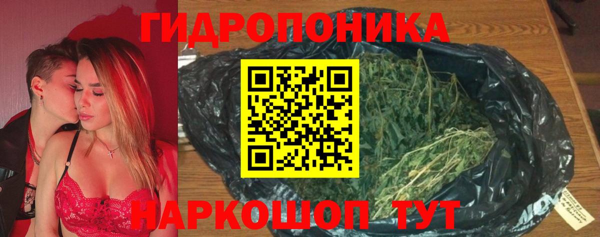МАРИХУАНА тримм  Бошки Шишки сатива  Каннабис семена  Вход с VPN  Канабис индика  Урус-Мартан 